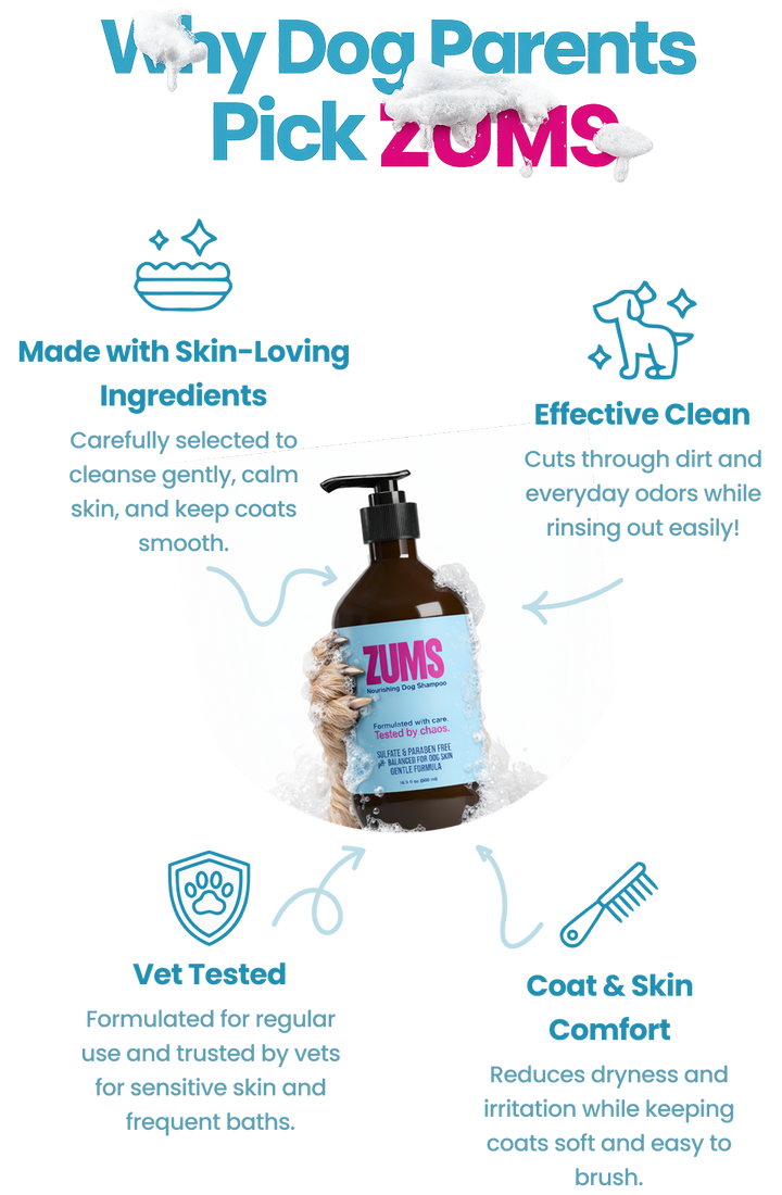 Martin K. Testimonial