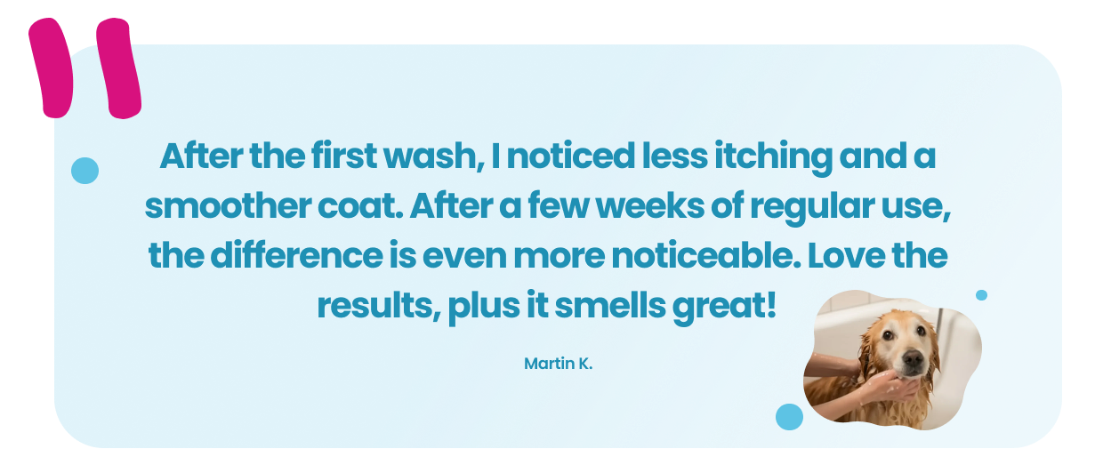 Martin K. Testimonial