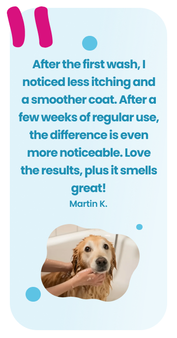 Martin K. Testimonial